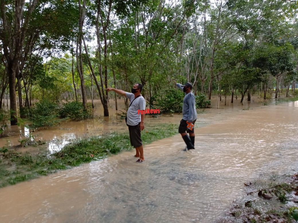 Mesuji-Lampung: Selalu Banjir di Desa Jaya Sakti Ketika Hujan